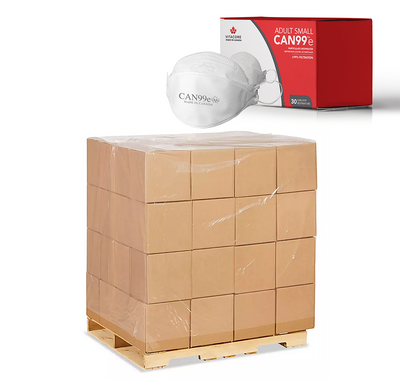 Adult Small CAN99e Earloop Respirator